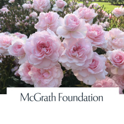 McGrath Foundation